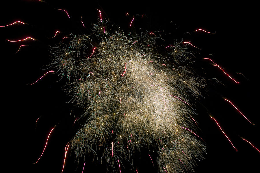 Fireworks Photograph - Fireworks #13 by Patrick Lynch