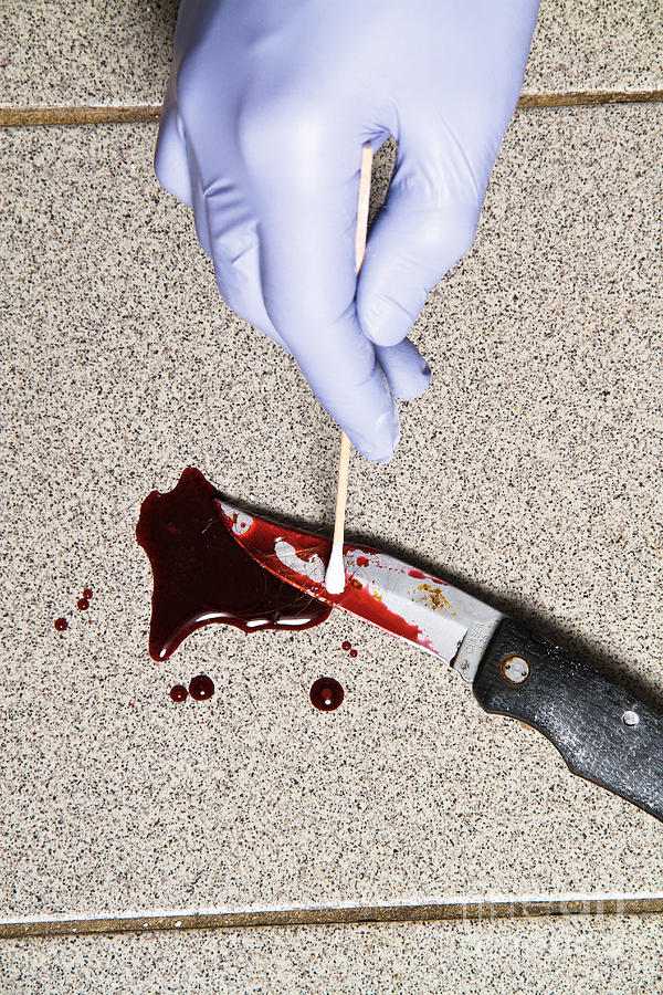 Forensic Evidence #13 Photograph by Photo Researchers, Inc.