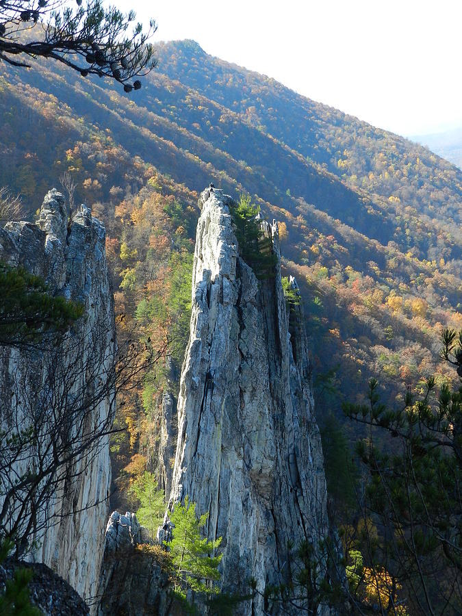 Seneca Rocks peak Photograph by John Park - Fine Art America