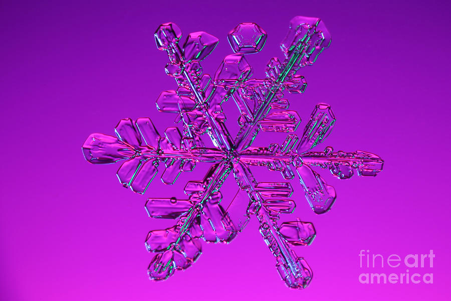 Winter Photograph - Snowflake #132 by Ted Kinsman