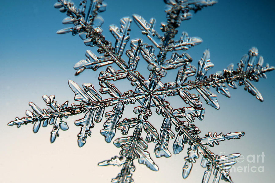 Winter Photograph - Snowflake #137 by Ted Kinsman