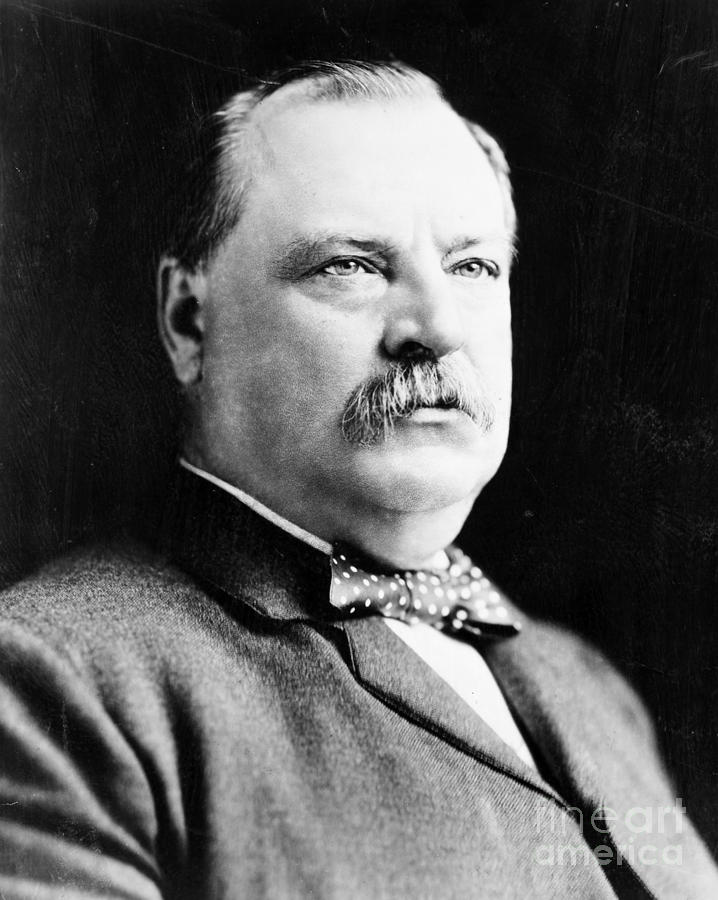 Grover Cleveland #14 Photograph by Granger