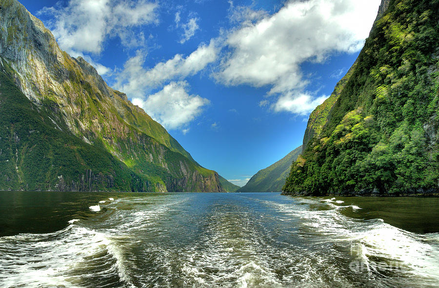 Milford Sound #14 Photograph by Marc Bittan