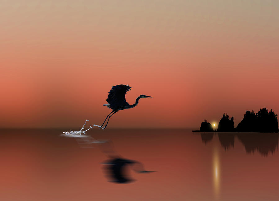 1424 Photograph by Peter Holme III