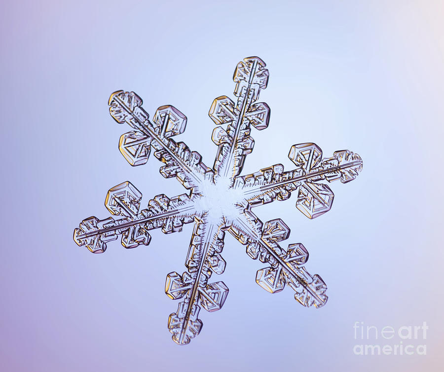 Winter Photograph - Snowflake #143 by Ted Kinsman