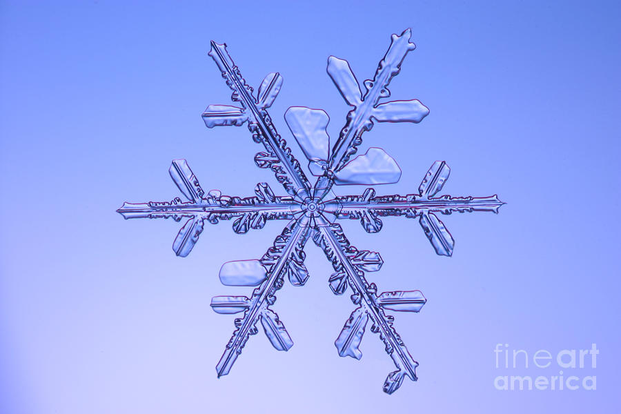 Snowflake #145 Photograph by Ted Kinsman