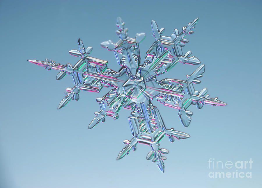 Winter Photograph - Snowflake #146 by Ted Kinsman