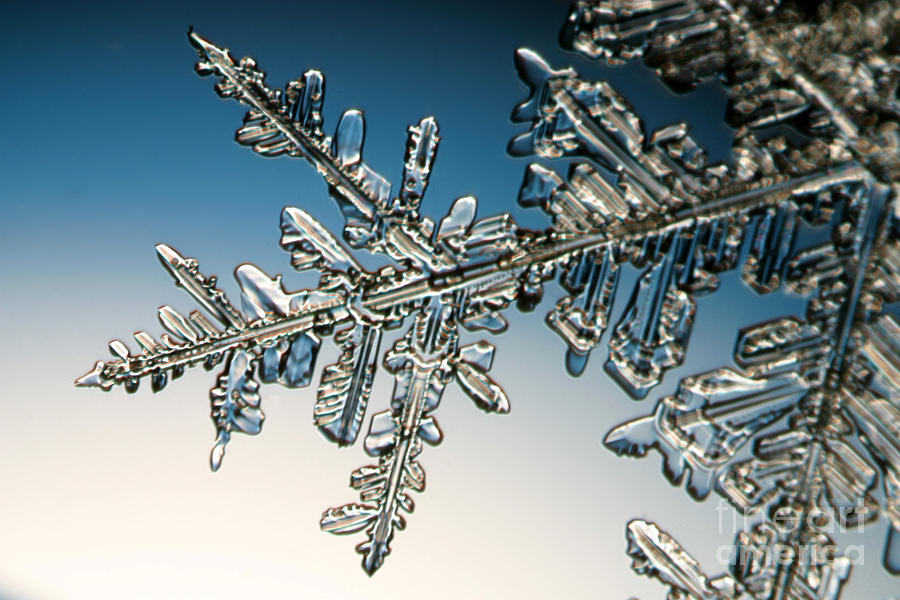 Winter Photograph - Snowflake #147 by Ted Kinsman