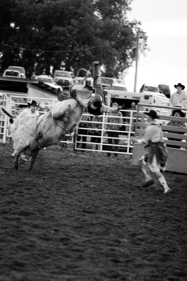 Horse Photograph - Bull Rider #15 by Rick Rowland