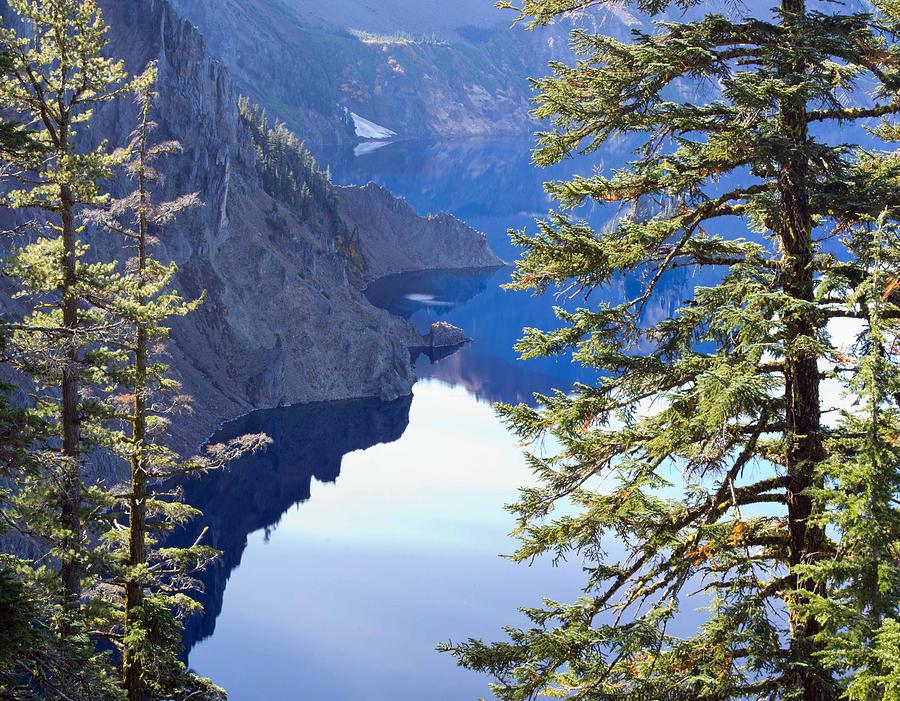 Tree Photograph - Crater Lake National Park #15 by Twenty Two North Photography