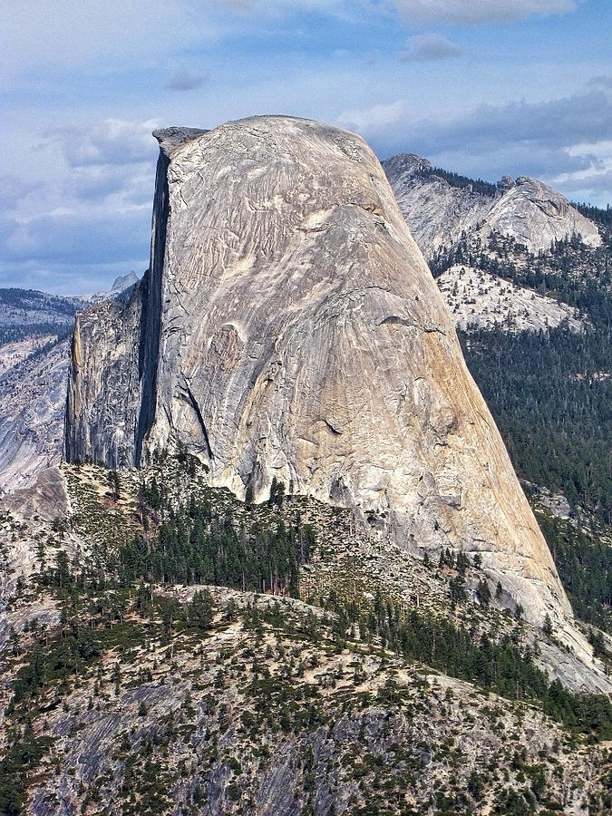 Yosemite National Park #15 Photograph by Helaine Cummins