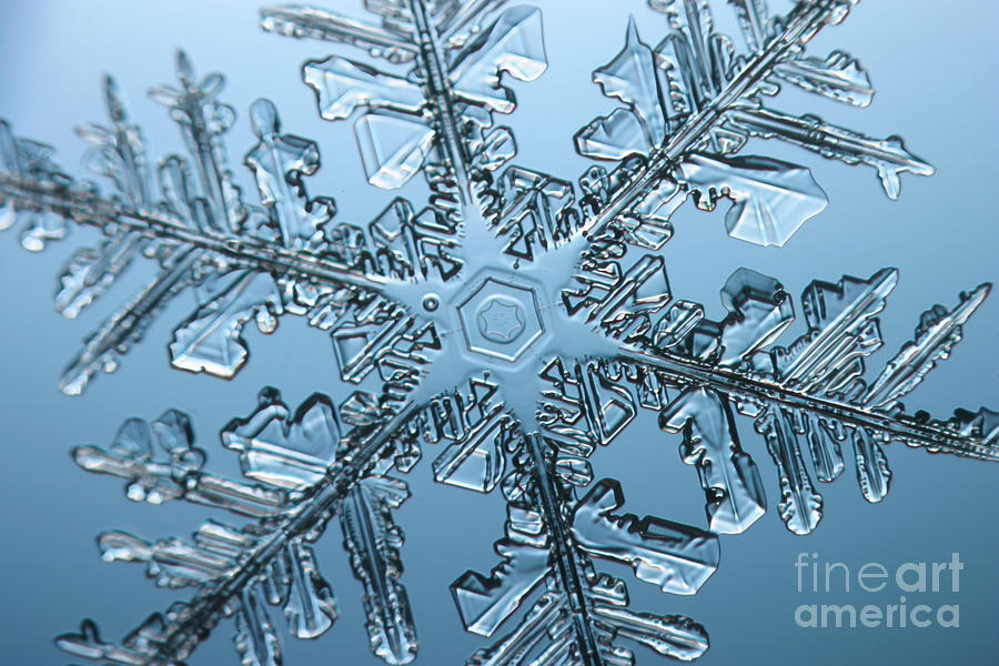Snowflake #151 Photograph by Ted Kinsman