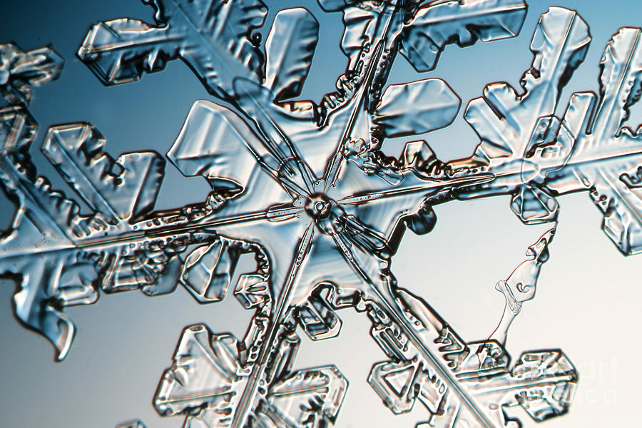 Snowflake #157 Photograph by Ted Kinsman