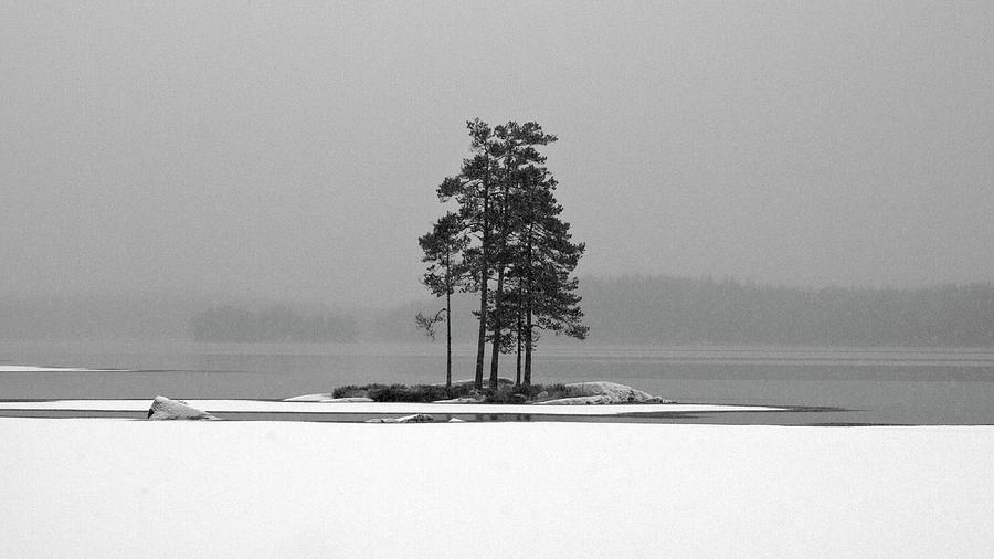 Haukkajarvi first snow #18 Photograph by Jouko Lehto
