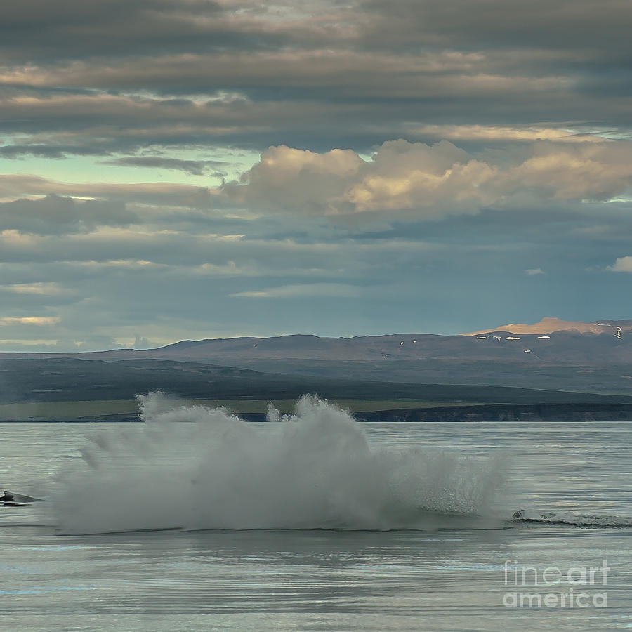 Humpback Whale #16 Photograph by Jorgen Norgaard