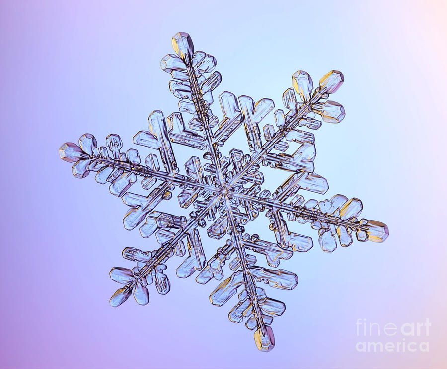 Winter Photograph - Snowflake #16 by Ted Kinsman
