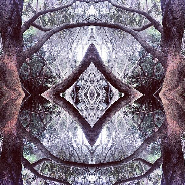 Abstract Photograph - #tagstagram .com #abstract #symmetry #16 by Dan Coyne