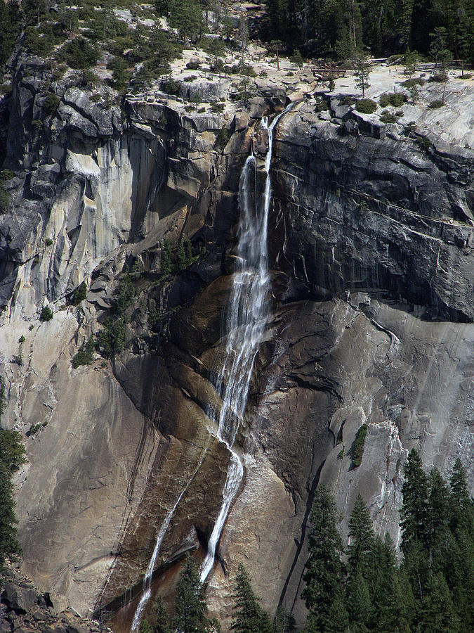 Yosemite National Park #16 Photograph by Helaine Cummins