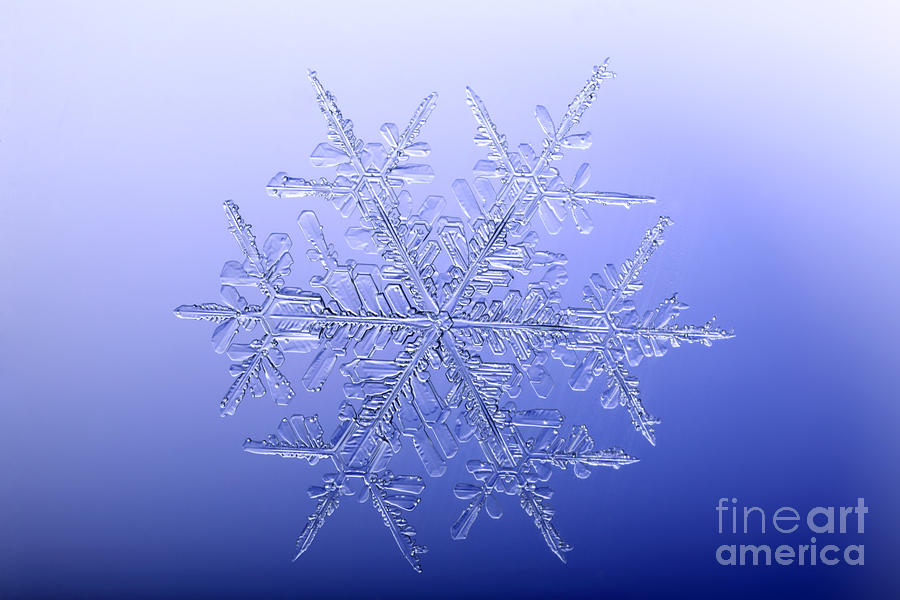Winter Photograph - Snowflake #165 by Ted Kinsman