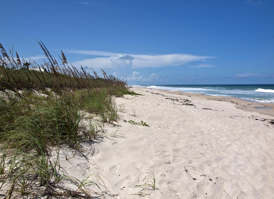 Juan Ponce de Leon Landing Site in Florida Photograph by Allan Hughes ...