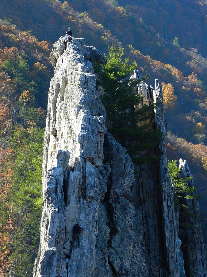 Seneca Rocks peak Photograph by John Park - Pixels