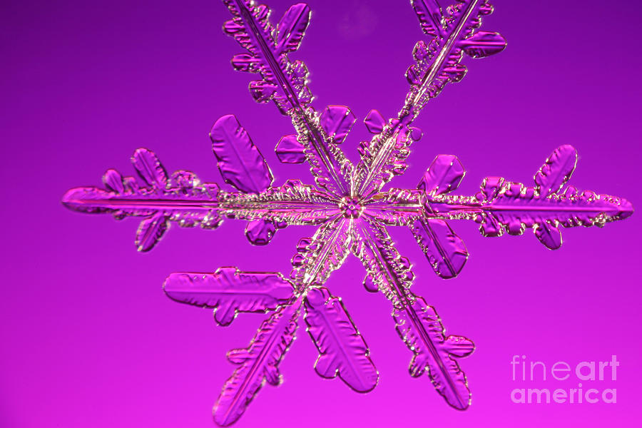 Snowflake #17 Photograph by Ted Kinsman