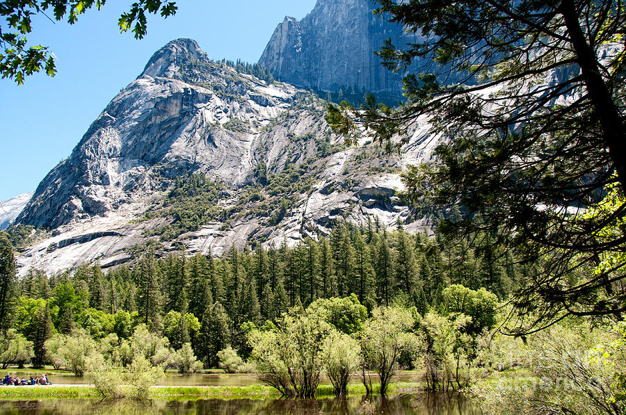 Yosemite #17 Digital Art by Carol Ailles