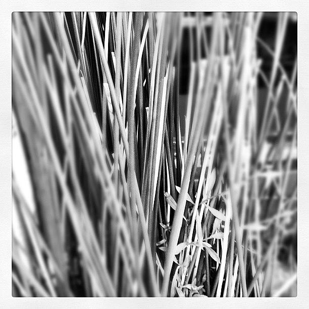 Abstract Photograph - Instagram Photo #171353077768 by Meredith Leah Abstract Photograph - Instagram Photo #171353077768 by Meredith Leah