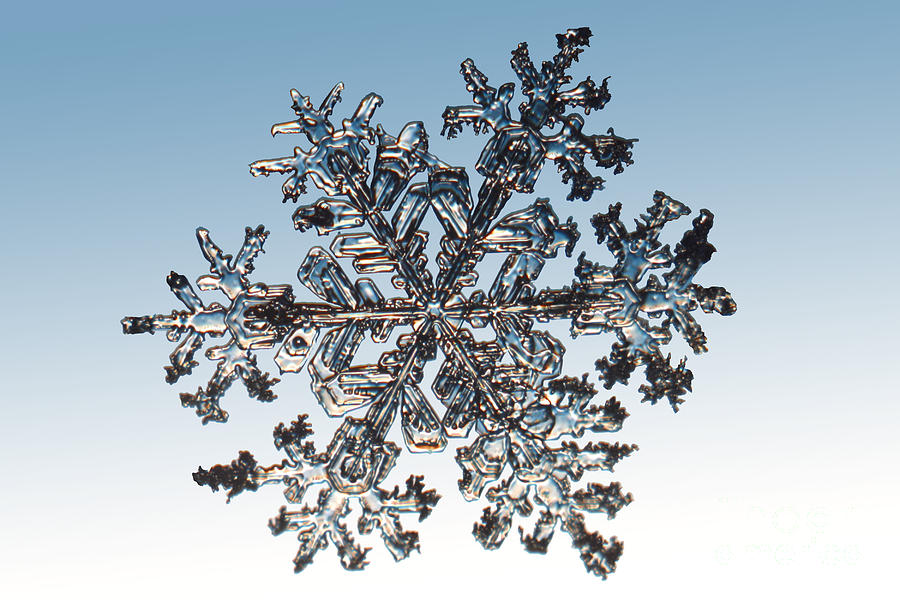 Winter Photograph - Snowflake #175 by Ted Kinsman