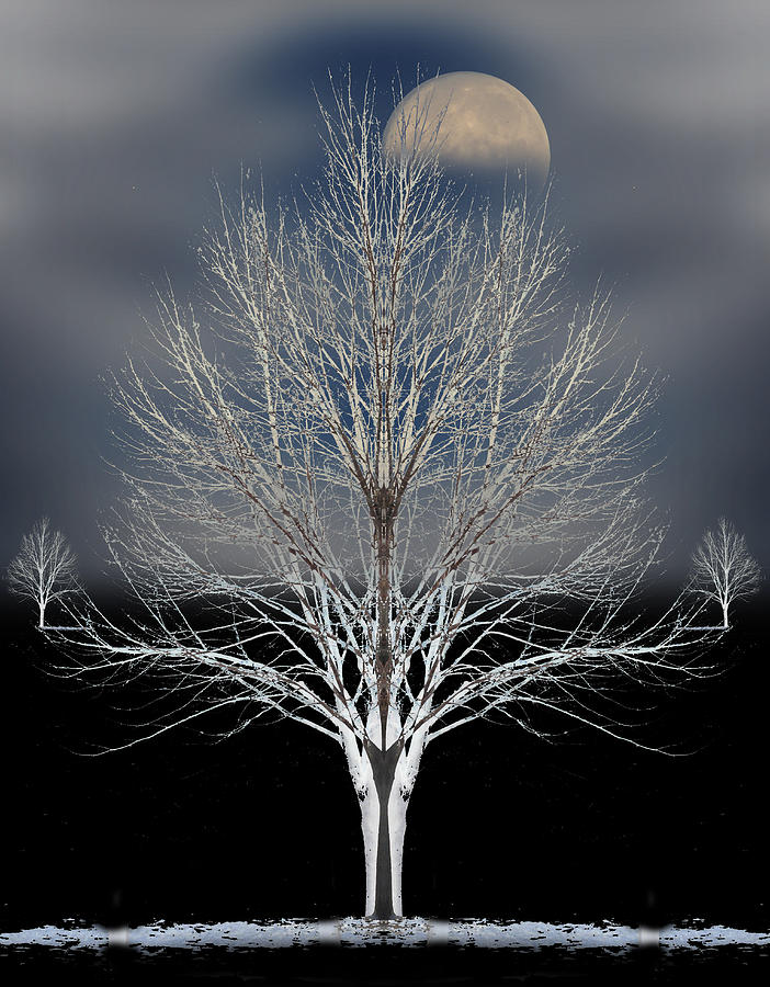 1762 Photograph by Peter Holme III