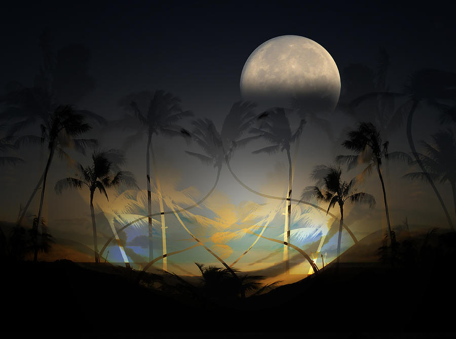 1767 Photograph by Peter Holme III