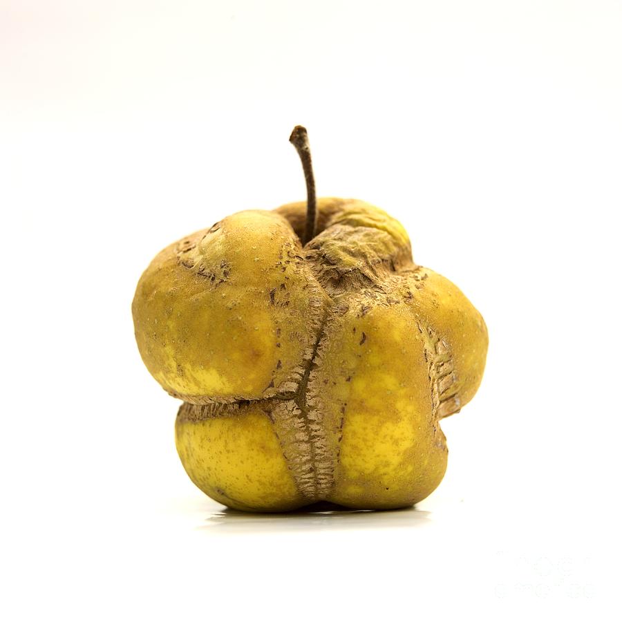 Apple Photograph - Apple #18 by Bernard Jaubert