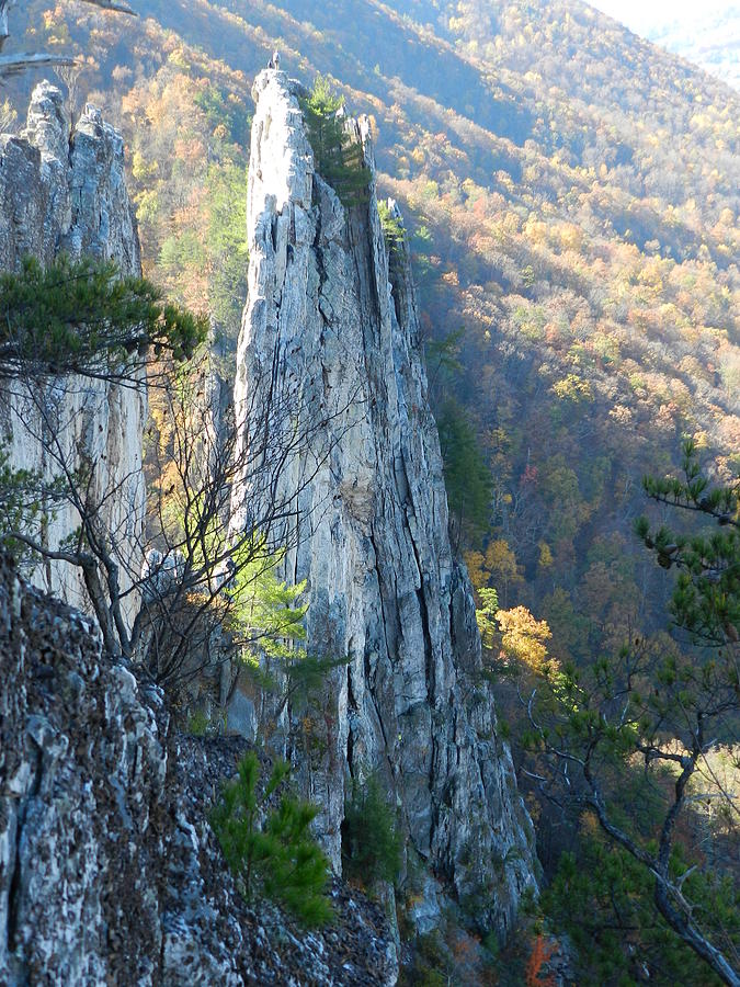 Seneca Rocks peak Photograph by John Park | Pixels