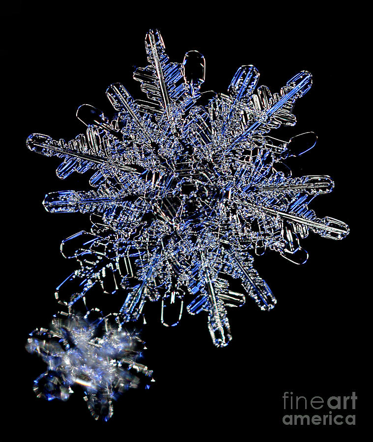 18-sided Snowflake Photograph by Ted Kinsman