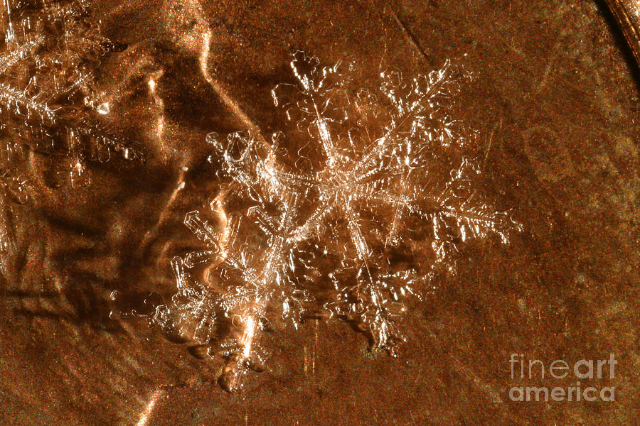 Winter Photograph - Snowflake #18 by Ted Kinsman