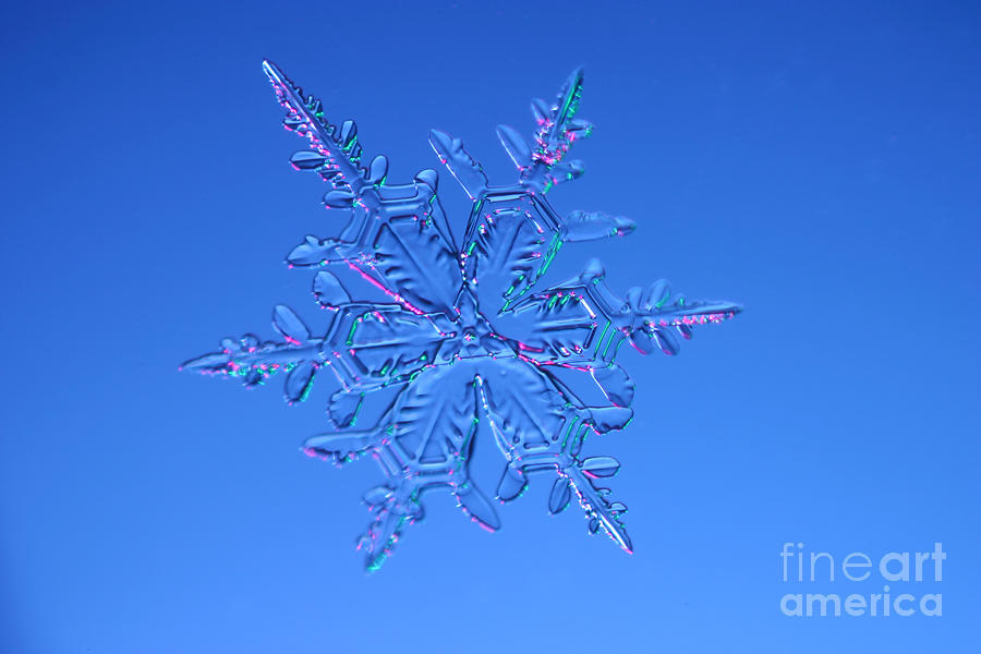 Snowflake #183  by Ted Kinsman