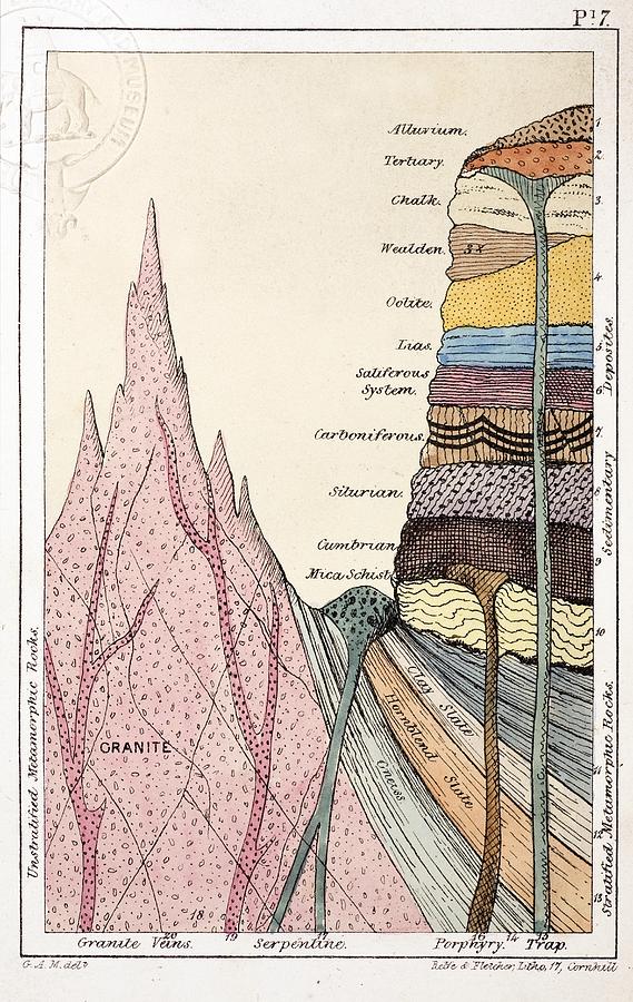 1838 Mantell's Geological Strata Section. Photograph by Paul D Stewart ...