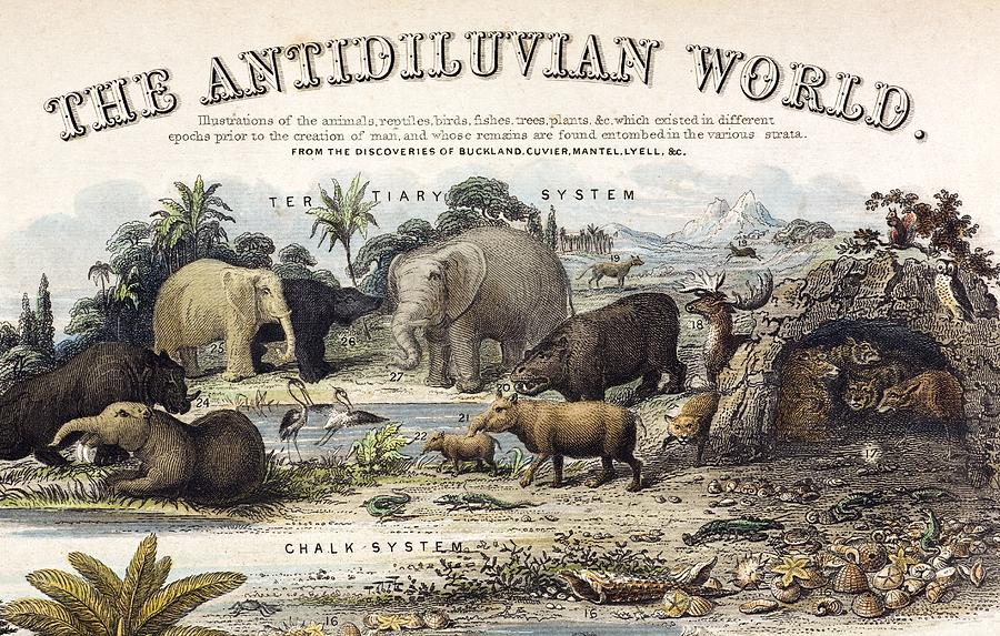 Prehistoric Photograph - 1849 The Antidiluvian World Crop Jurassic by Paul D Stewart