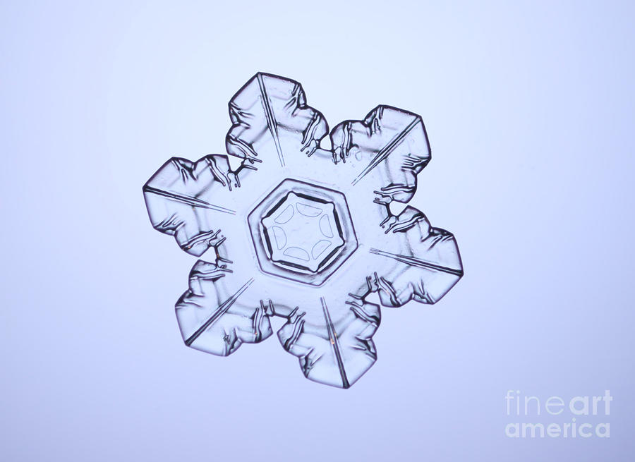 Snowflake #186  by Ted Kinsman