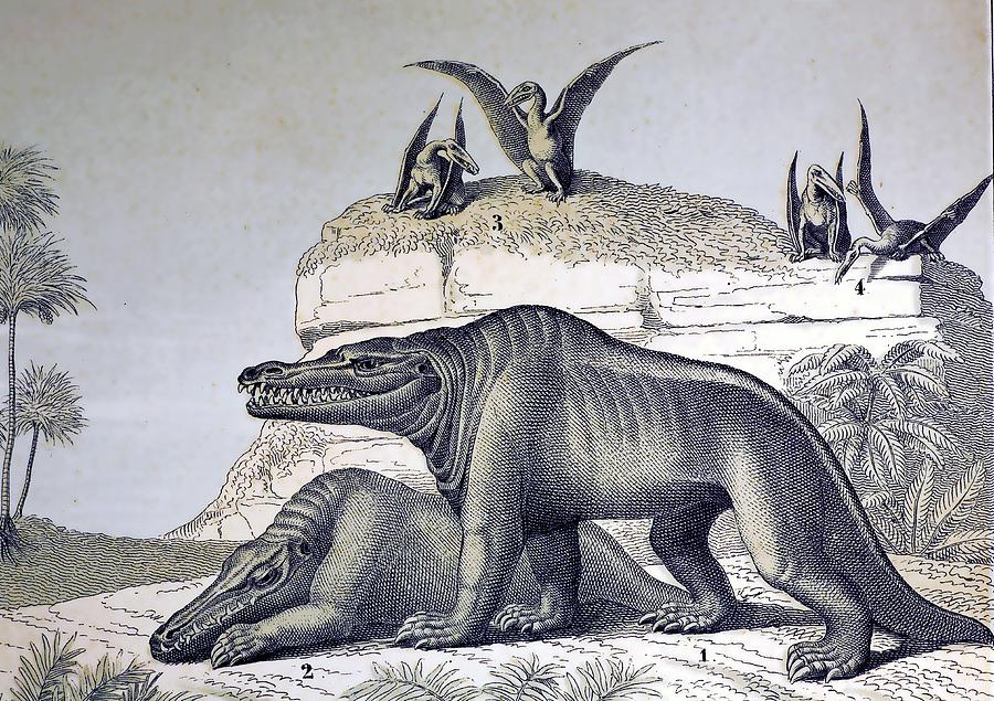 Dinosaur Photograph - 1862 Megalosaurus Reconstruction by Paul D Stewart
