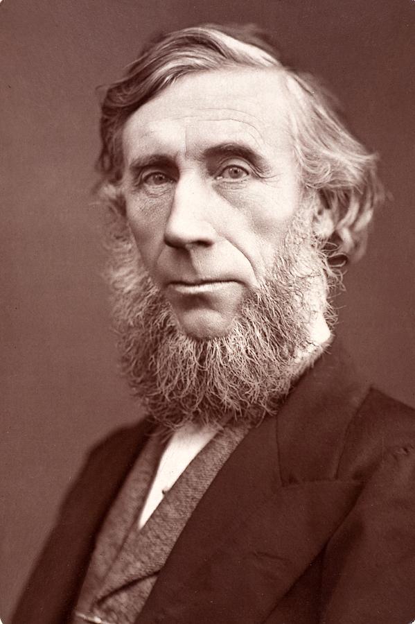 Portrait Photograph - 1877 John Tyndall Irish Born Physicist by Paul D Stewart