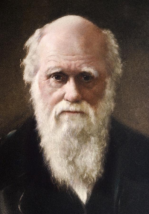 1881 Charles Darwin Face Portrait Photograph by Paul D Stewart