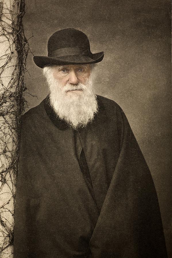 1881 Tinted Charles Darwin Portrait Photograph by Paul D Stewart