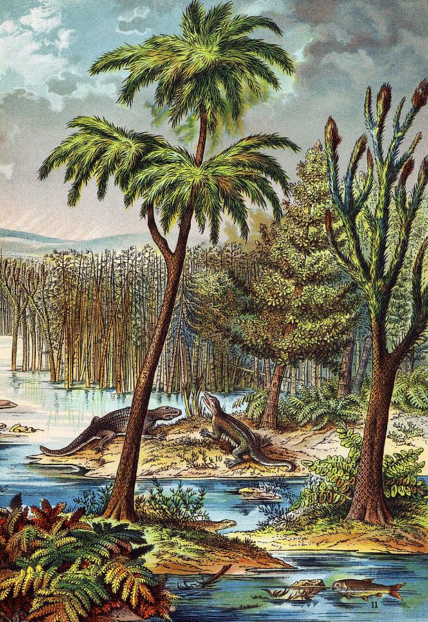 1888 Colour Lithograph Of Permian Swamp Photograph by Paul D Stewart ...