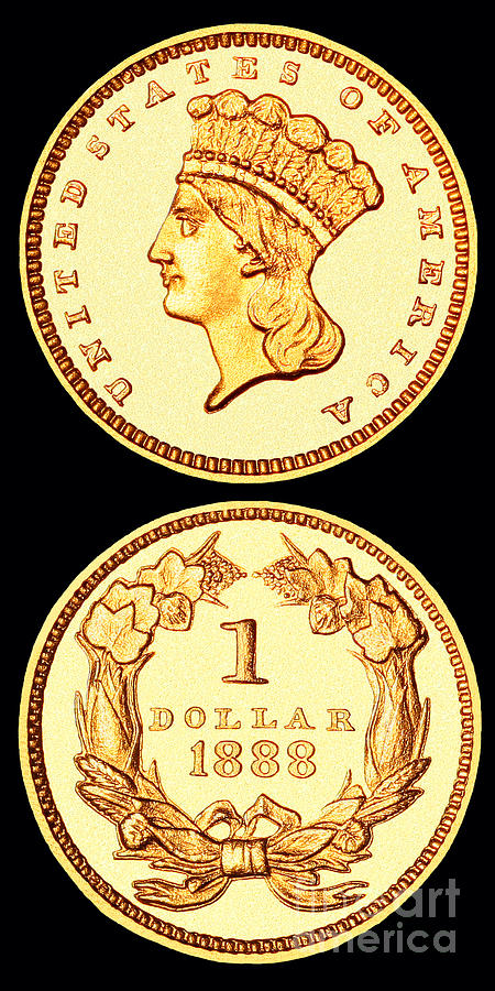 1888 U.S. Gold Type 3 Dollar Photograph by Jim Carrell