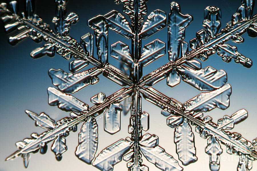 Winter  - Snowflake #189 by Ted Kinsman