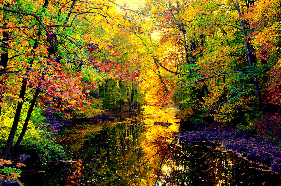 Autumn Colors #19 Digital Art by Aron Chervin