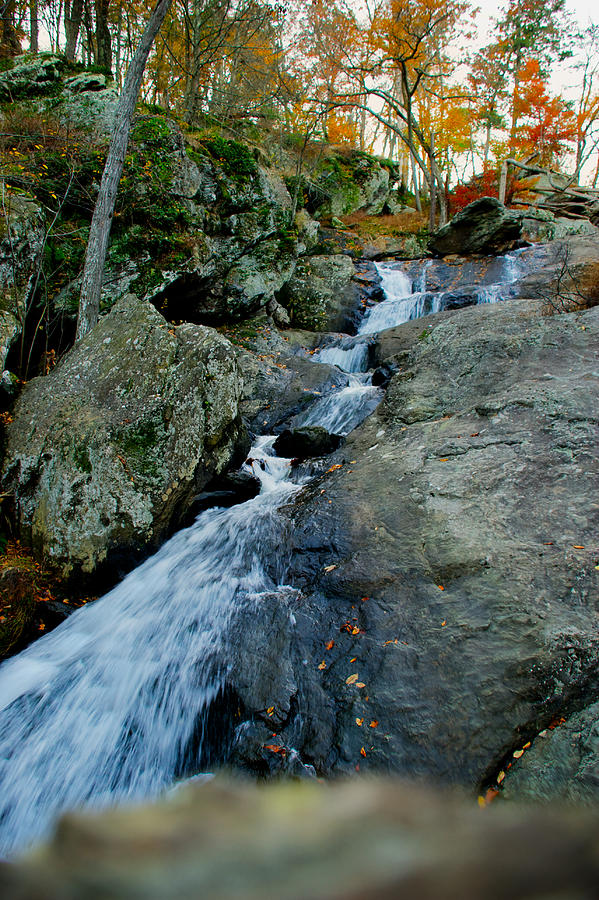Cunningham Falls #19 Photograph by Mark Dodd