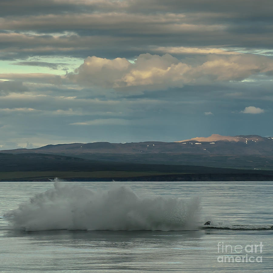 Humpback Whale #19 Photograph by Jorgen Norgaard