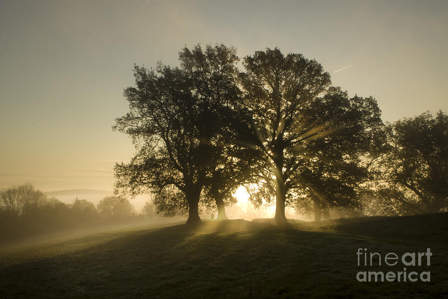 Fall Photograph - Misty Morning #19 by Ang El